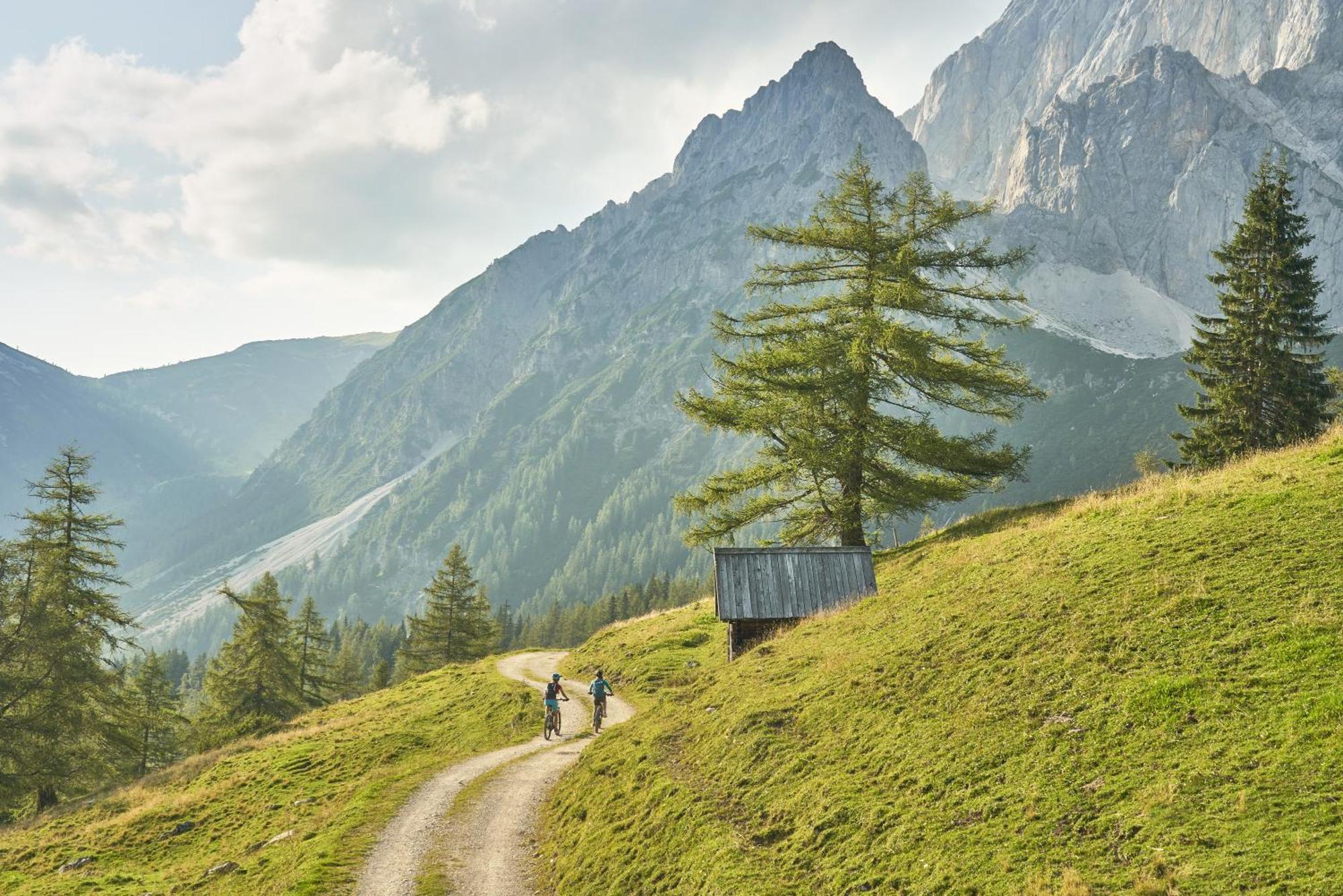 Villa Bio-Bauernhof Simonbauer à Ramsau am Dachstein Extérieur photo